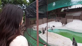 眼鏡OLスーツの美脚を包んだ生ナマしいパンストを完全着衣でムレた足裏からつま先を味わい尽くす！時には顔騎や足コキ、時には中出し、時にはお尻にコスってぶっかけとやりたい放題！発情させられた女の変態調教絶頂