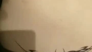 硬性爱给我的女朋友在山雀位置的大山雀